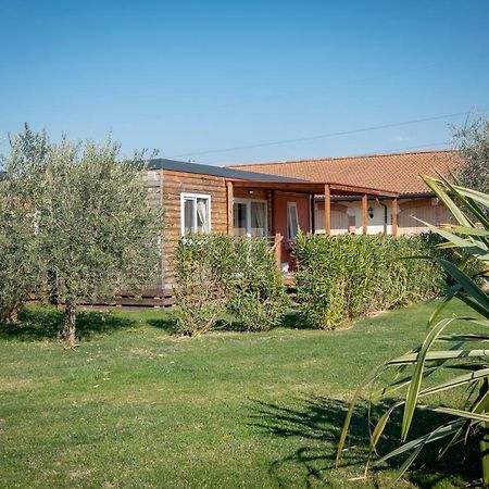 Agriturismo Tre Colline Бардолино Экстерьер фото
